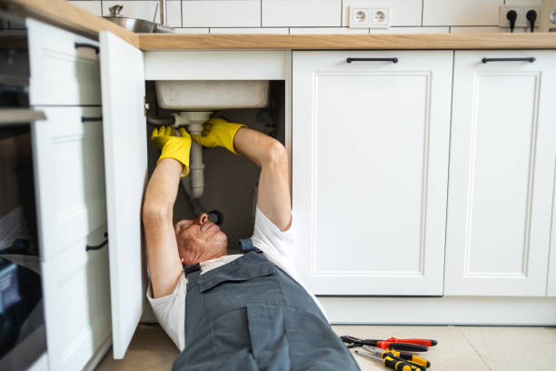 Best Commercial Plumbing Services  in Richwood, OH